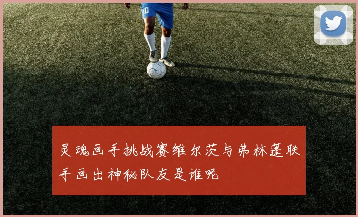 灵魂画手挑战赛维尔茨与弗林蓬联手画出神秘队友是谁呢