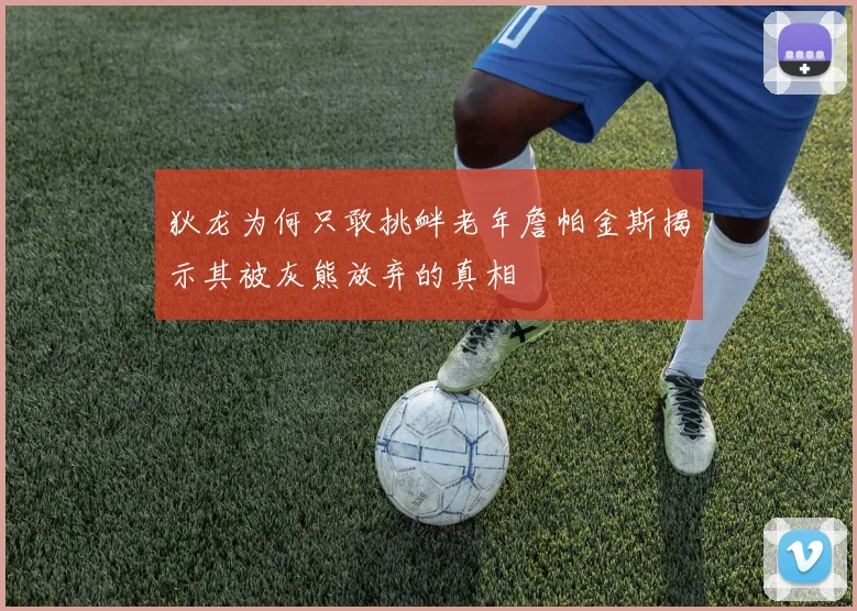 狄龙为何只敢挑衅老年詹帕金斯揭示其被灰熊放弃的真相